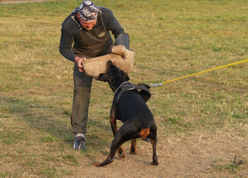 Training in Prague - defence - 10/2006